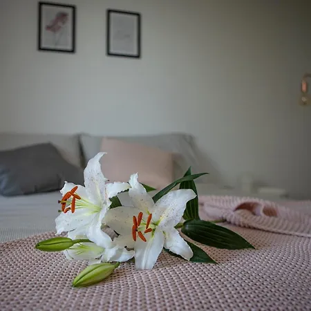 Bed & Breakfast Anna Quattro Castella